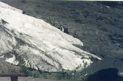 Glacier